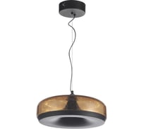 Светильник подвесной ST LUCE черный/коричневый, с пузырьками LED 1*42W 3000K SL6014.603.01