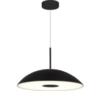 Светильник подвесной ST LUCE черный/черный LED 1*24W 3000K SL6128.403.01