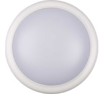 Светильник светодиодный Jazzway "Банник" PBH - PC6 18Вт 4000K белый IP65 ЖКХ круглый пылевлагозащитный 5067110