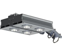 светильник светодиодный уличный Элина-Т ООО CLS-DUET-200-5135-67 7930161530630