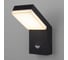 Садово-парковый светильник Elektrostandard 1541 TECHNO LED с датчиком движения чёрный a053946 1
