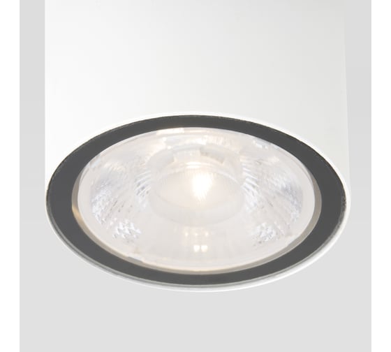 Садово-парковый светильник со светодиодами Elektrostandard 35131 H Light LED 2103 белый a056230
