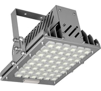 Светильник LEDeffect КЕДР (СБУ/ДБУ) 50Вт 5300лм CRI75 IP65 5000К КСС Г, на поворотную лиру, уличное и промышленное освещение LE-22-УХЛ1-050-65Х-8644