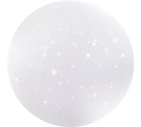 Настенно-потолочный светильник TANGO 28Вт LED "ЗВЕЗДНОЕ НЕБО" 6000К ПОЛУСФЕРА РОССИЯ 1199445