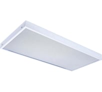 Универсальный офисный светодиодный светильник Ledcraft 20 Вт IP20 595x295x40 мм 6000K Призма 1619510017