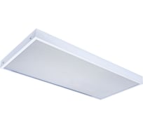 Универсальный офисный светодиодный светильник Ledcraft 40 Вт IP20 595x295x40 мм 3000K Призма 1619500021