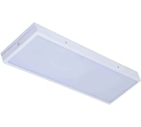 Универсальный офисный светодиодный светильник Ledcraft 20 Вт IP54 595x180x48 мм 6000К Опал 1619540034