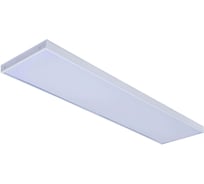 Универсальный офисный светодиодный светильник Ledcraft 80 Вт IP20 1195x295x40 мм 6000K Опал 1619510026