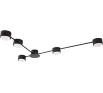 Светильник потолочный ARTE LAMP A1527PL-5BK