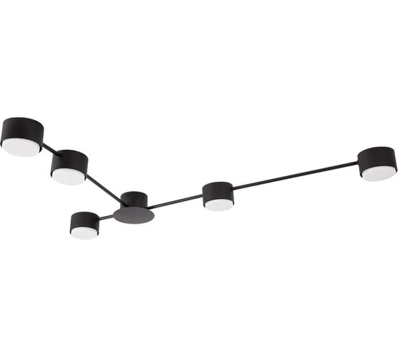 Светильник потолочный ARTE LAMP A1527PL-5BK 1