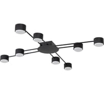 Светильник потолочный ARTE LAMP A1527PL-8BK