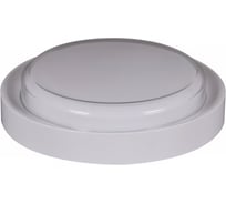 Уличный настенно-потолочный светодиодный светильник Reluce 81151-9.5-001QL WH