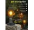 Светильник Navigator 80 471 NOF-PG31-004-IP44-E27 80471 5