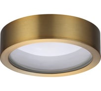 Потолочный светильник ODEON LIGHT LED 1*7W REUS 4342_7CL