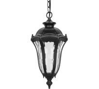 Светильник уличный TDM ELECTRIC "Вена" 60 Вт, подвес, алюминий, прозрачное/черный Е27 SQ0330-0205