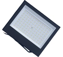 Прожектор светодиодный ForLed СДО LED-1 100Вт 6500К IP65 11540