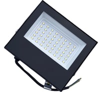 Прожектор светодиодный ForLed СДО LED-1 50Вт 6500К IP65 11541