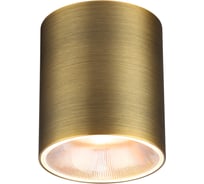 Потолочный светильник ODEON LIGHT BRIM LED 12W 7137/12CL