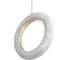 Подвесной светодиодный светильник LOFT IT Soho 10410/D 5