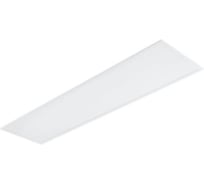 Панельный светильник Philips RC170B W30L120 (Selectable) 911401851387