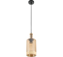Подвесной светильник MyFar Edwin MR2461-1P