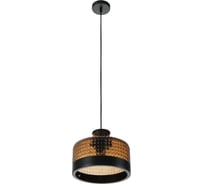 Подвесной светильник MyFar Edwin MR2482-1P