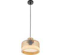 Подвесной светильник MyFar Edwin MR2481-1P