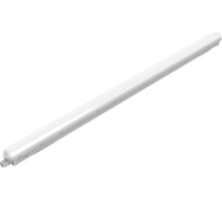 Пылевлагозащищенный светильник Philips WT018C 40S/840 PSU L1200 911401826285