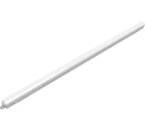 Пылевлагозащищенный светильник Philips WT018C 60S/840 PSU L1500 911401826385