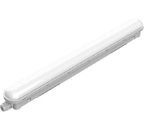 Пылевлагозащищенный светильник Philips WT018C 20S/865 PSU L600 911401826485