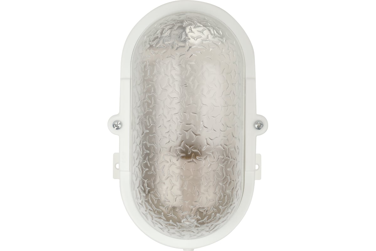 Светильник ЭРА НБП 01-60-012 с ободком Евро пластик/стекло IP53 E27 max ...