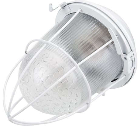 Светильник ЭРА НСП 02-100-003 с решеткой Желудь сталь стекло IP54 E27 max 100Вт белый Б0052019