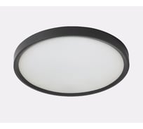 Потолочный светодиодный светильник Italline IT011-5024 black