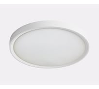 Потолочный светодиодный светильник Italline IT011-5024 white