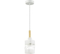 Подвес LUMION стекло E27 60W BONNIE 4491/1