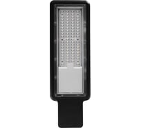 Светильник LED уличный DEMMAX THL-1011 100Вт, 9000 Лм 15449