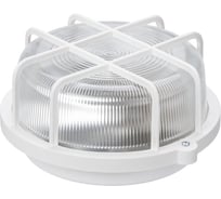 Светильник TDM ELECTRIC НПП 03-100-005.04 У3 корпус и защитная сетка-квадрат, белый SQ0311-0001