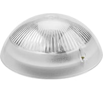 Светильник TDM ELECTRIC НПП 03-60-010.01 У3 Сириус (SAN-пластик) SQ0311-0009