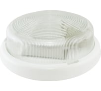 Светильник TDM ELECTRIC НПП 03-2х60-015.01 УХЛ4 Рондо SQ0311-0012