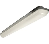 Светильник EKF ДСП-1008 Айсберг-Э 18Вт 6500К IP65 600мм PROxima TPL-1008-18-6500-A