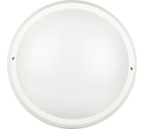 Светильник ЖКХ светодиодный ЭРА SPB-203-0-65K-018 18Вт 6500К 1530Лм IP65 D220мм круглый антивандальный Б0070036