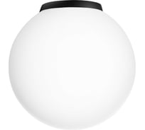 Потолочный светильник Citilux RON черный CL941D20B5