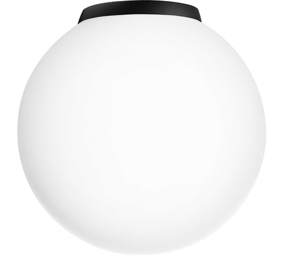 Потолочный светильник Citilux RON черный CL941D20B5 1