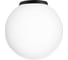 Потолочный светильник Citilux RON черный CL941D20B5 1