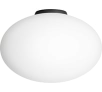 Потолочный светильник Citilux RON черный CL941E28B5