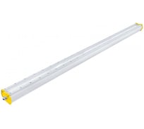 Светодиодный светильник DIORA Piton 2Ex 90/12000 Д прозрачный 12000лм 90Вт 5000K IP65 0,95PF 80Ra Кп<1 DP2Ex90-D-PZ-5K