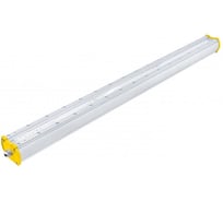 Светодиодный светильник DIORA Piton 2Ex 80/9700 Д прозрачный 9700лм 80Вт 3000K IP65 0,95PF 80Ra Кп<1 DP2Ex80-D-PZ-3K