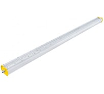 Светодиодный светильник DIORA Piton 2Ex 100/12500 К60 12500лм 100Вт 3000K IP65 0,95PF 80Ra Кп<1 транзит DP2Ex100-K60-3K-T