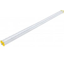 Светодиодный светильник DIORA Piton 2Ex 117/12600 Д опал 12600лм 117Вт 4000K IP65 0,95PF 80Ra Кп<1 транзит DP2Ex117-D-O-4K-T