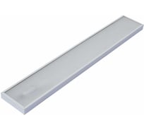 Светодиодный светильник DIORA NPO IP65 SE 30/4000 prism 4000лм 30Вт 5800K IP65 0.95PF 80Ra Kп<1 DNPOSE30IP65-P-6K